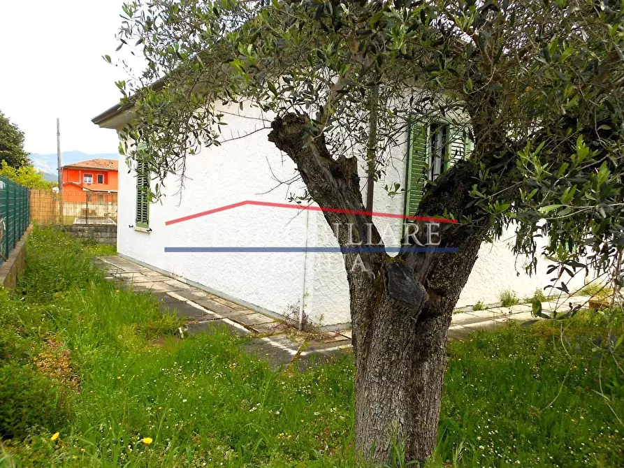 Immagine 4 di Villa in vendita  a Carrara