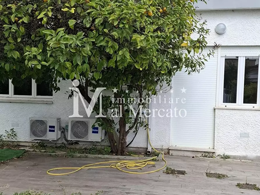Immagine 15 di Appartamento in vendita  a Viareggio
