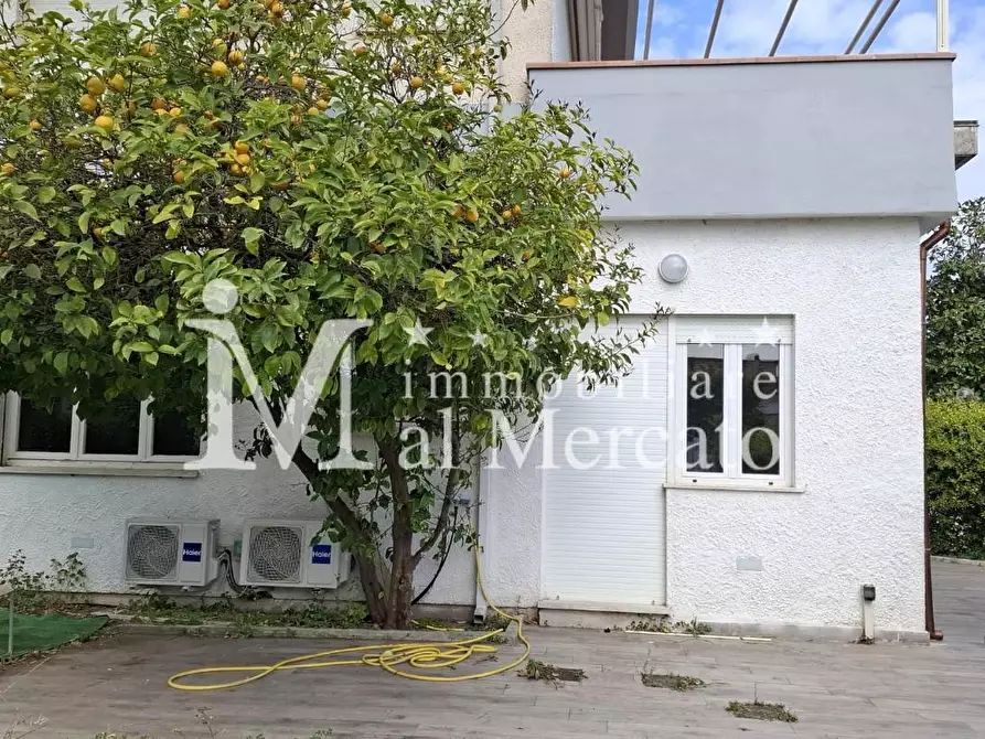 Immagine 17 di Appartamento in vendita  a Viareggio