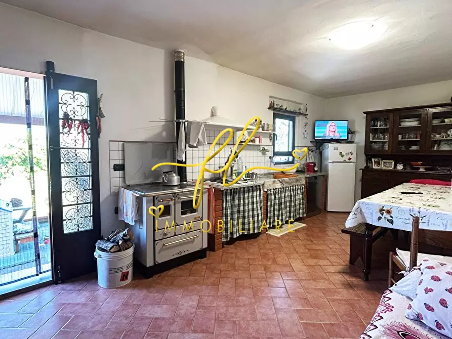 Immagine 12 di Terreno agricolo in vendita  a Cecina