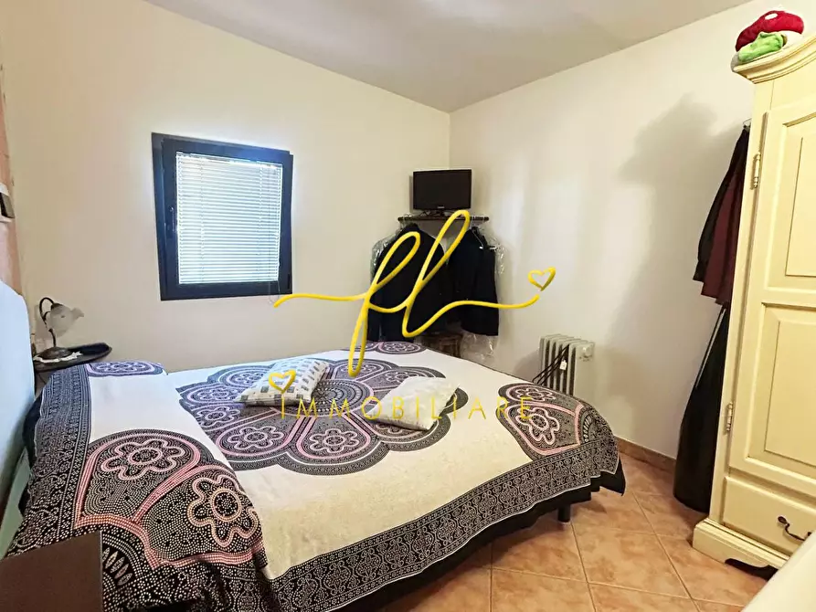 Immagine 13 di Terreno agricolo in vendita  a Cecina