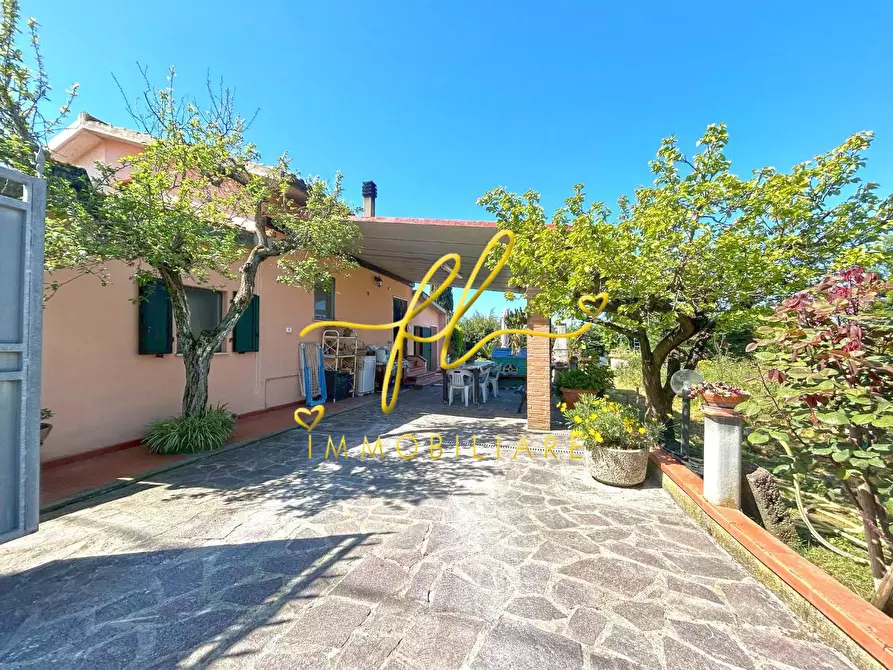 Immagine 2 di Terreno agricolo in vendita  a Cecina