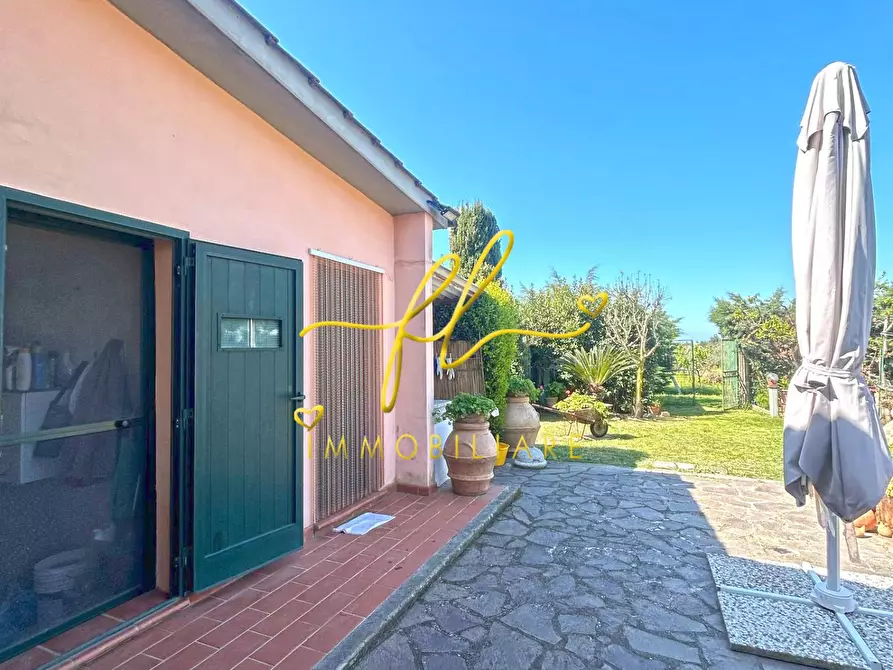 Immagine 5 di Terreno agricolo in vendita  a Cecina