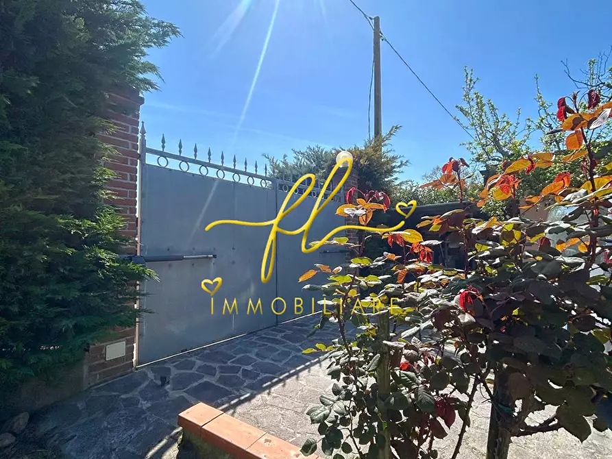 Immagine 3 di Terreno agricolo in vendita  a Cecina