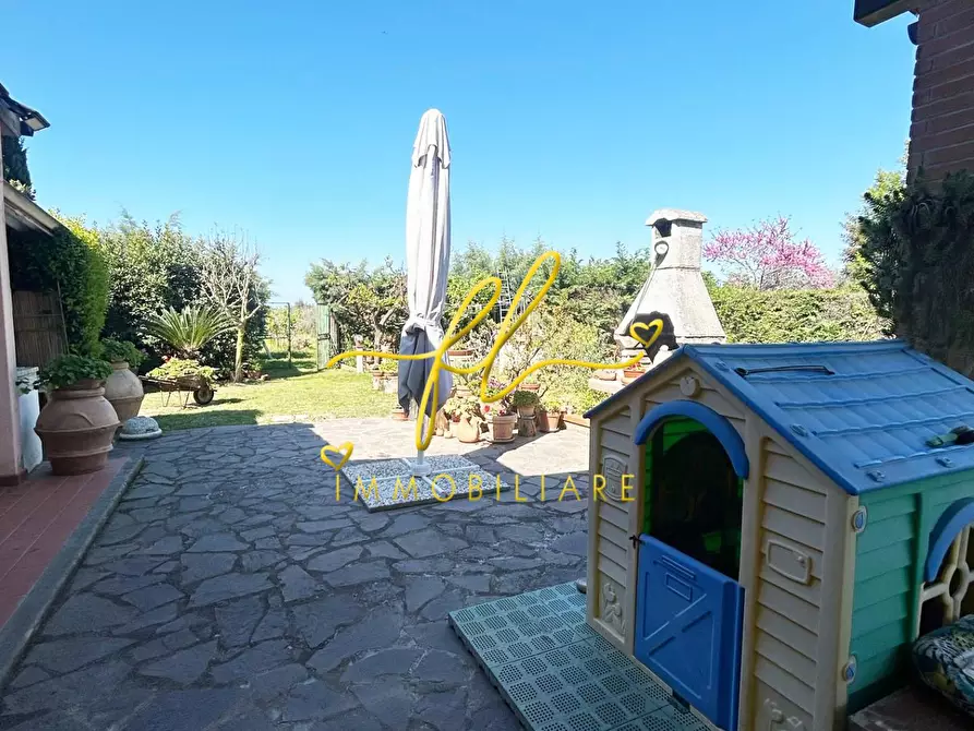 Immagine 8 di Terreno agricolo in vendita  a Cecina