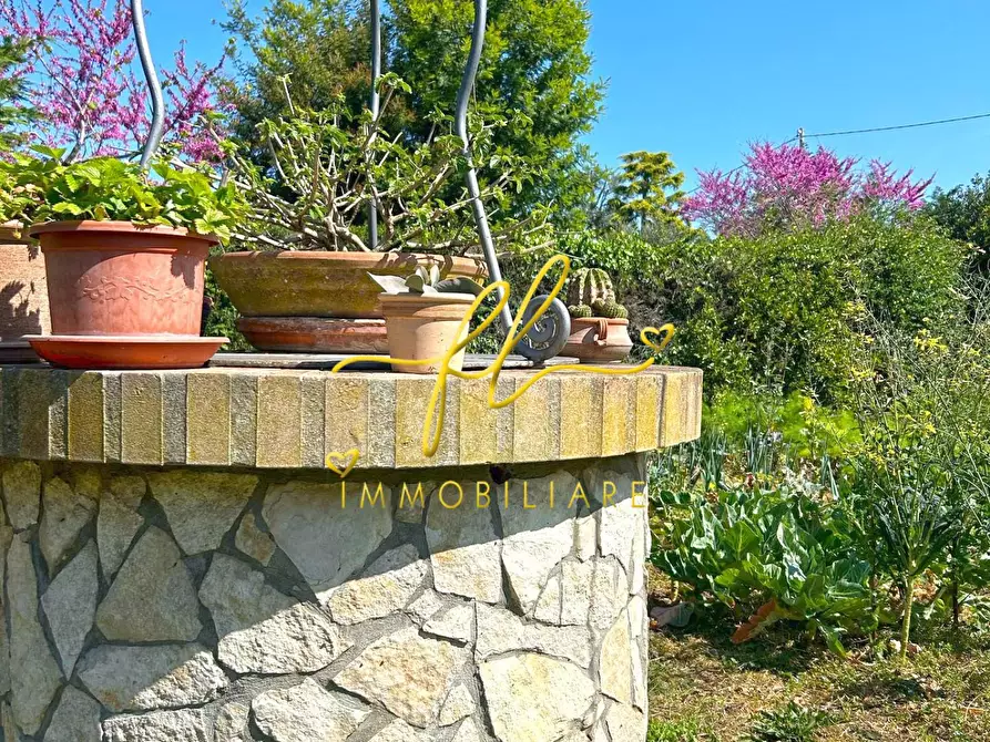 Immagine 6 di Terreno agricolo in vendita  a Cecina