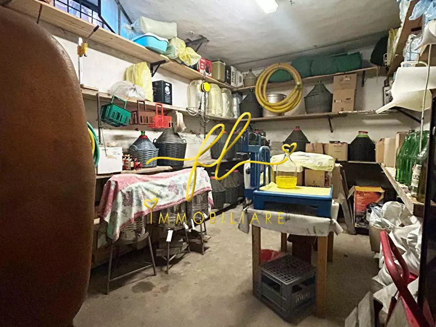 Immagine 14 di Terreno agricolo in vendita  a Cecina