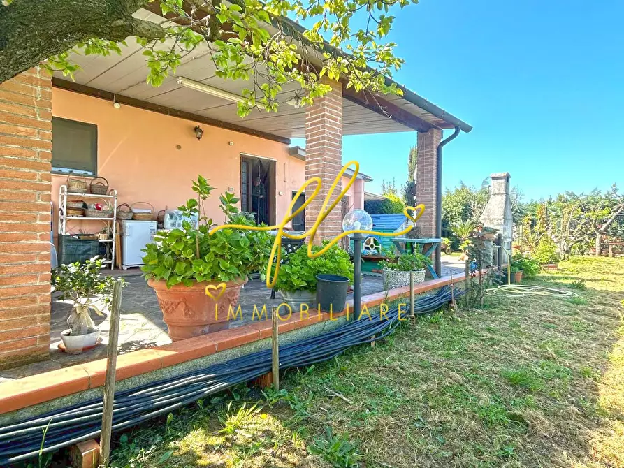 Immagine 4 di Terreno agricolo in vendita  a Cecina