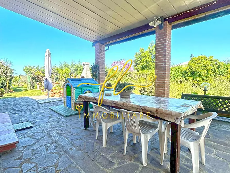 Immagine 7 di Terreno agricolo in vendita  a Cecina