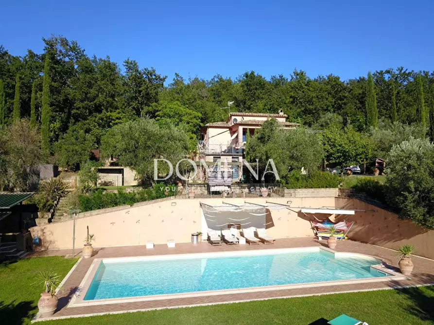 Immagine 3 di Villa in vendita  a Manciano