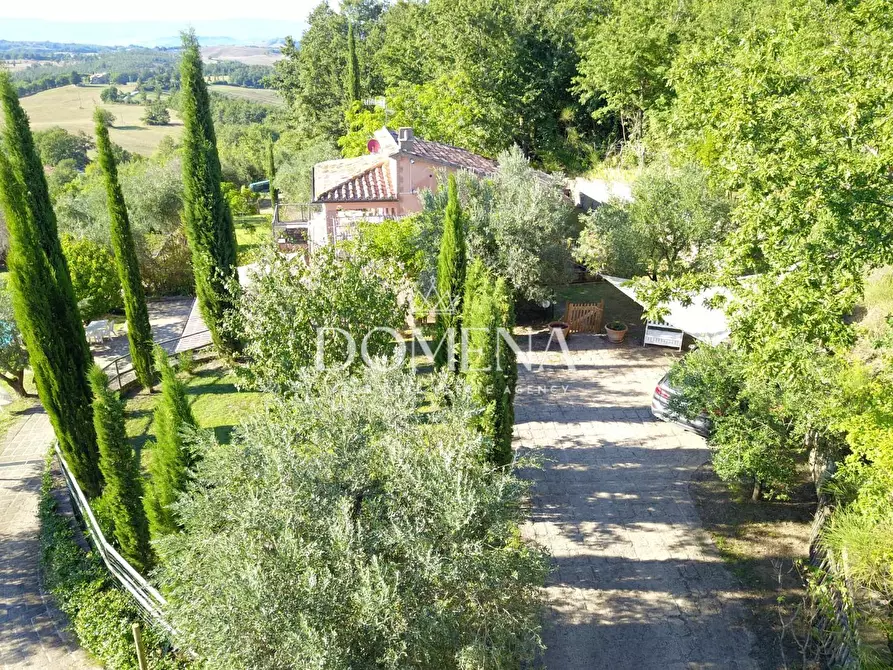 Immagine 5 di Villa in vendita  a Manciano