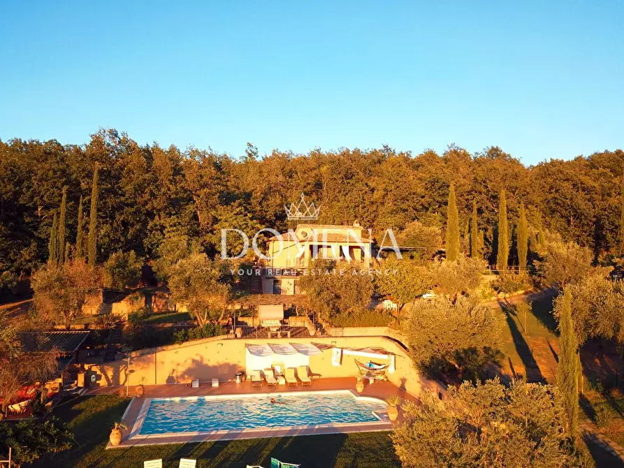 Immagine 7 di Villa in vendita  a Manciano