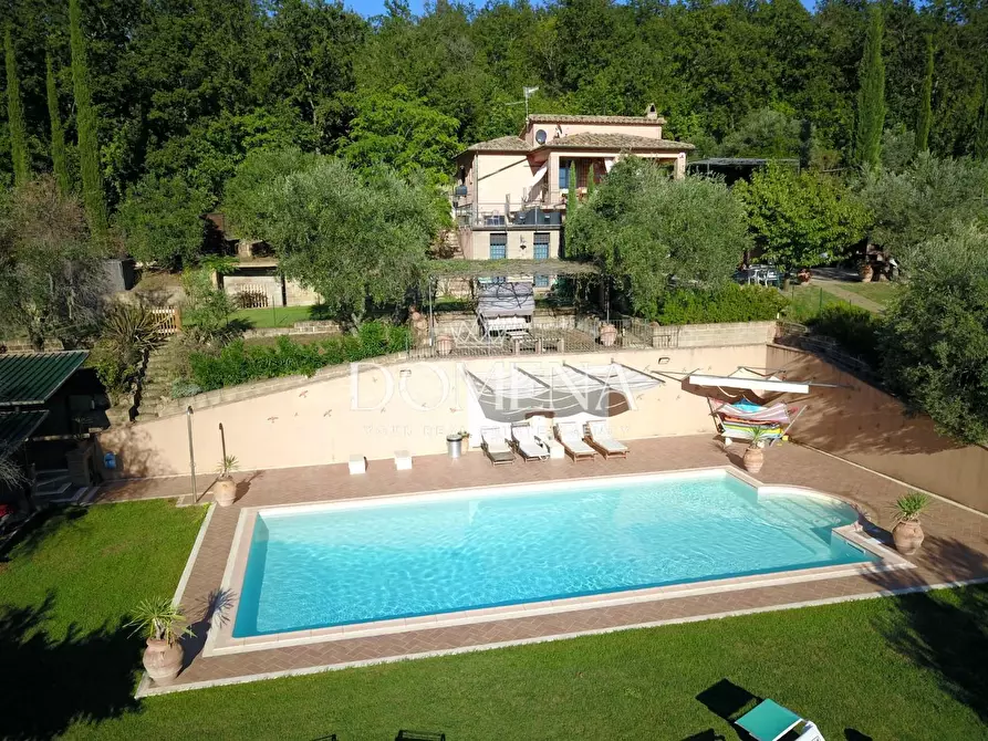 Immagine 6 di Villa in vendita  a Manciano
