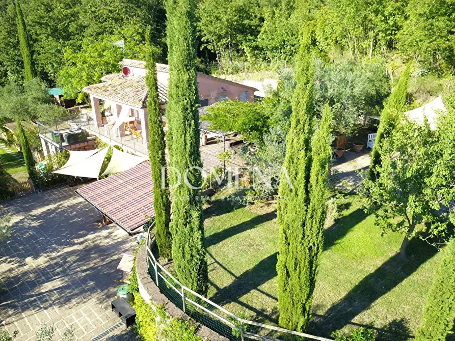 Immagine 4 di Villa in vendita  a Manciano