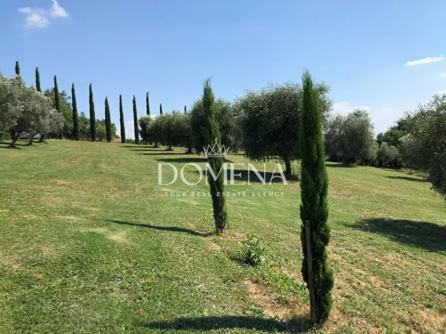 Immagine 18 di Villa in vendita  a Manciano