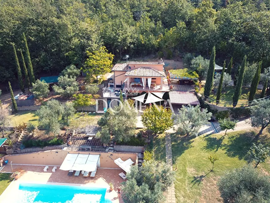 Immagine 9 di Villa in vendita  a Manciano