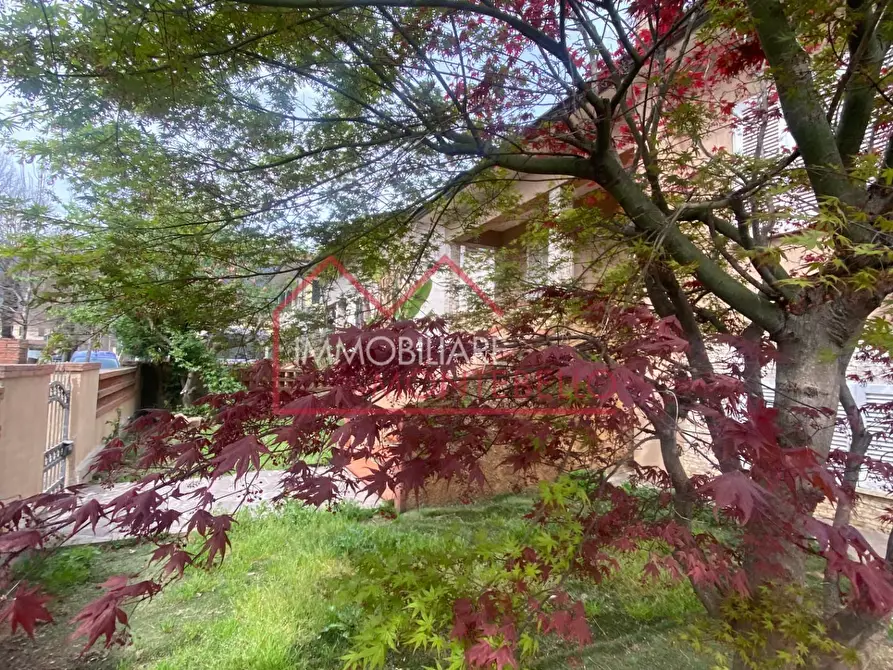 Immagine 42 di Casa indipendente in vendita  a Camaiore