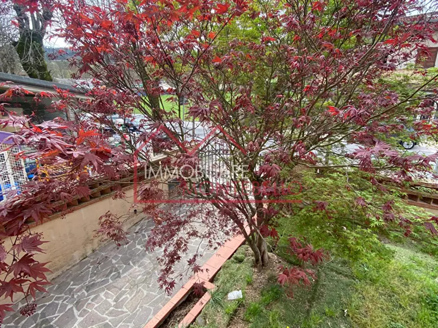 Immagine 17 di Casa indipendente in vendita  a Camaiore