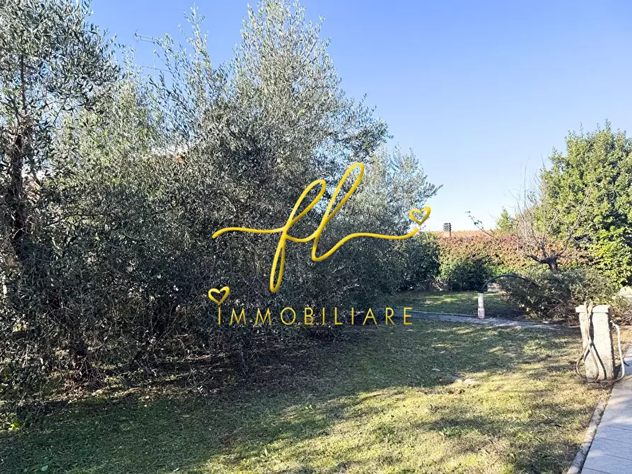 Immagine 38 di Casa bifamiliare in vendita  a Bibbona