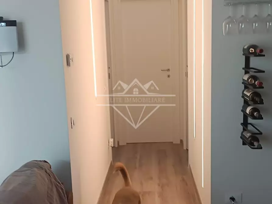 Immagine 21 di Villa in vendita  a Massa