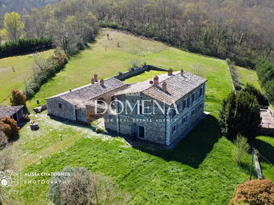 Immagine 3 di Casa colonica in vendita  a Rapolano Terme