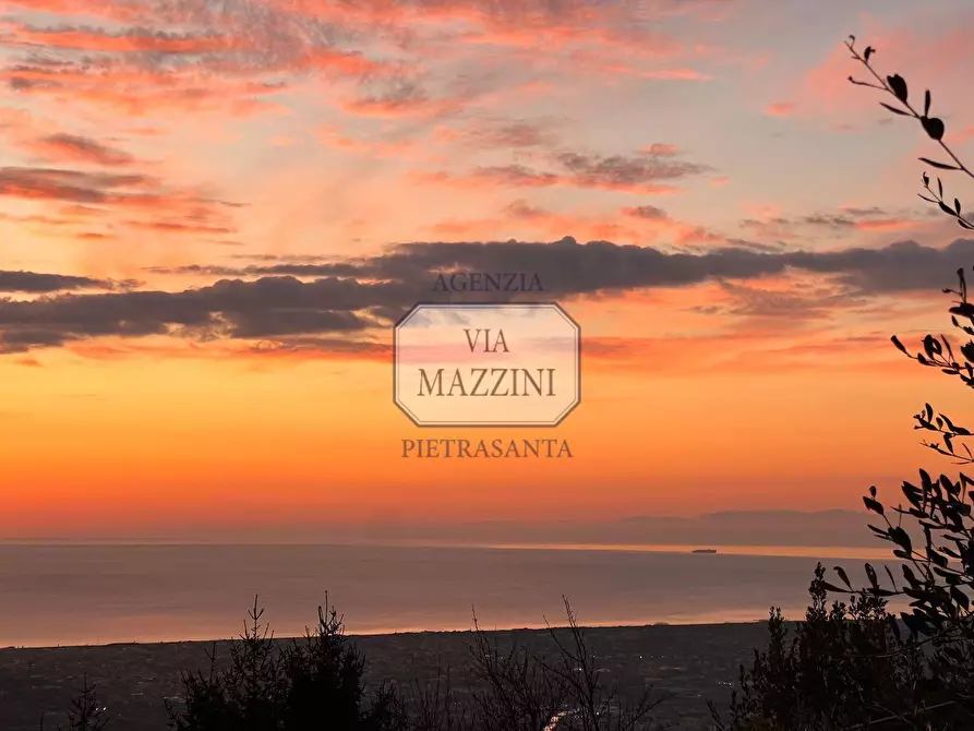 Immagine 22 di Casa colonica in vendita  a Pietrasanta
