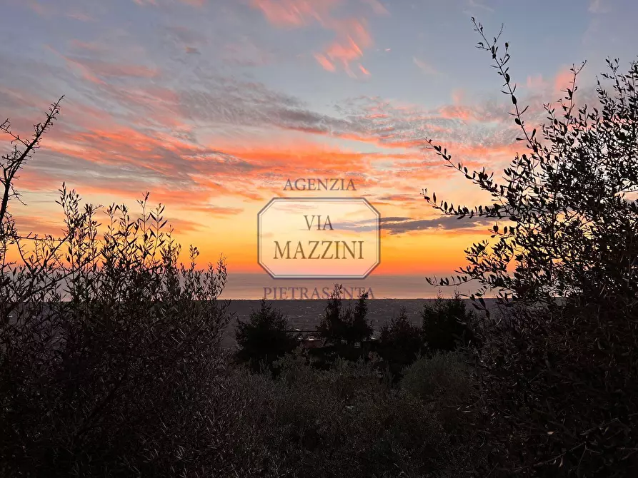 Immagine 27 di Casa colonica in vendita  a Pietrasanta