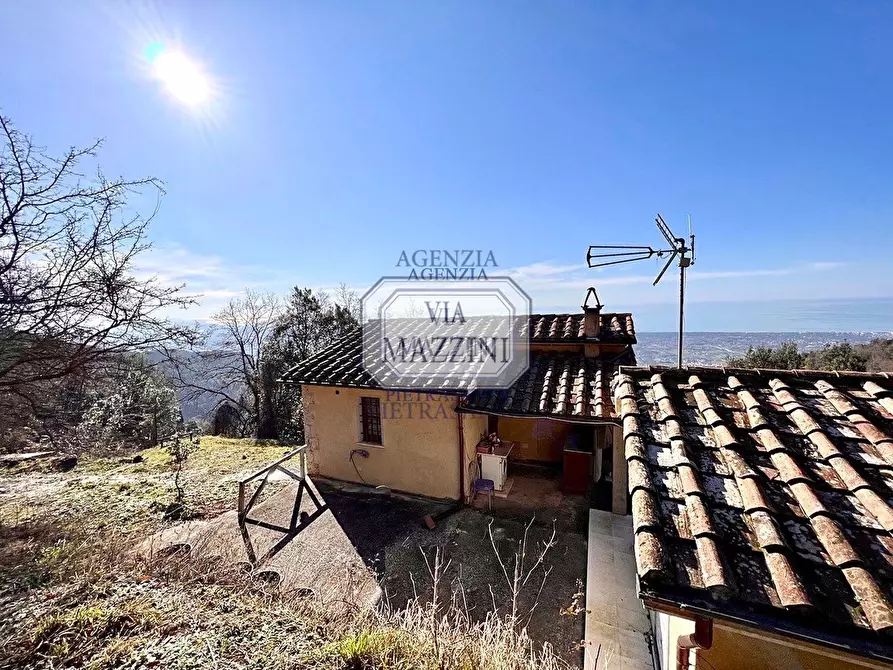 Immagine 2 di Casa colonica in vendita  a Pietrasanta