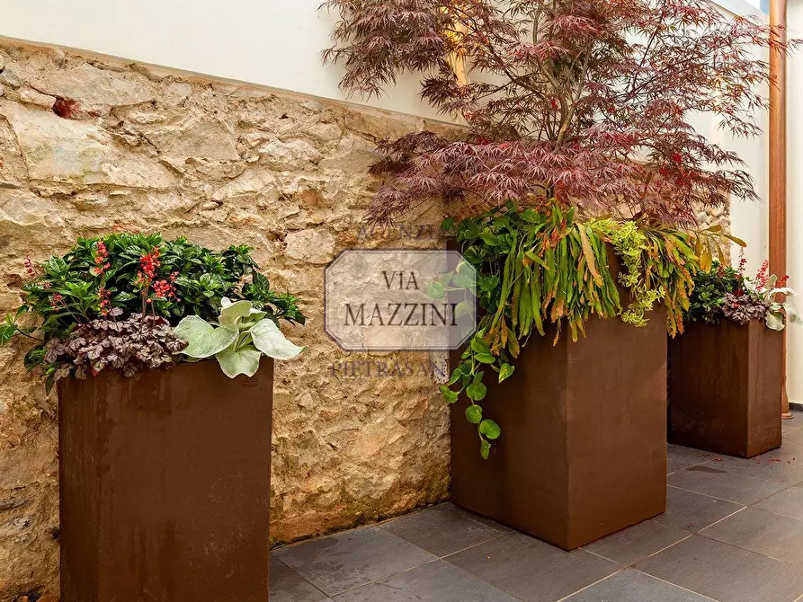 Immagine 24 di Appartamento in vendita  a Pietrasanta