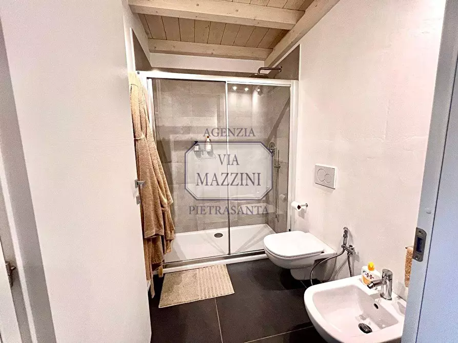 Immagine 19 di Appartamento in vendita  a Pietrasanta