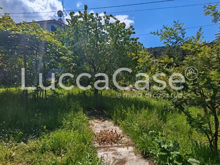 Immagine 3 di Casa indipendente in vendita  a Capannori