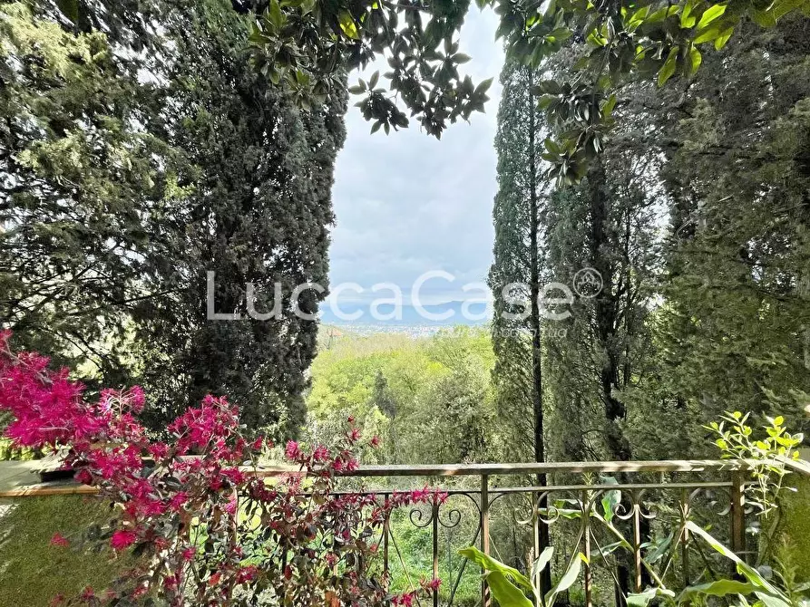 Immagine 6 di Rustico / casale in vendita  a Lucca