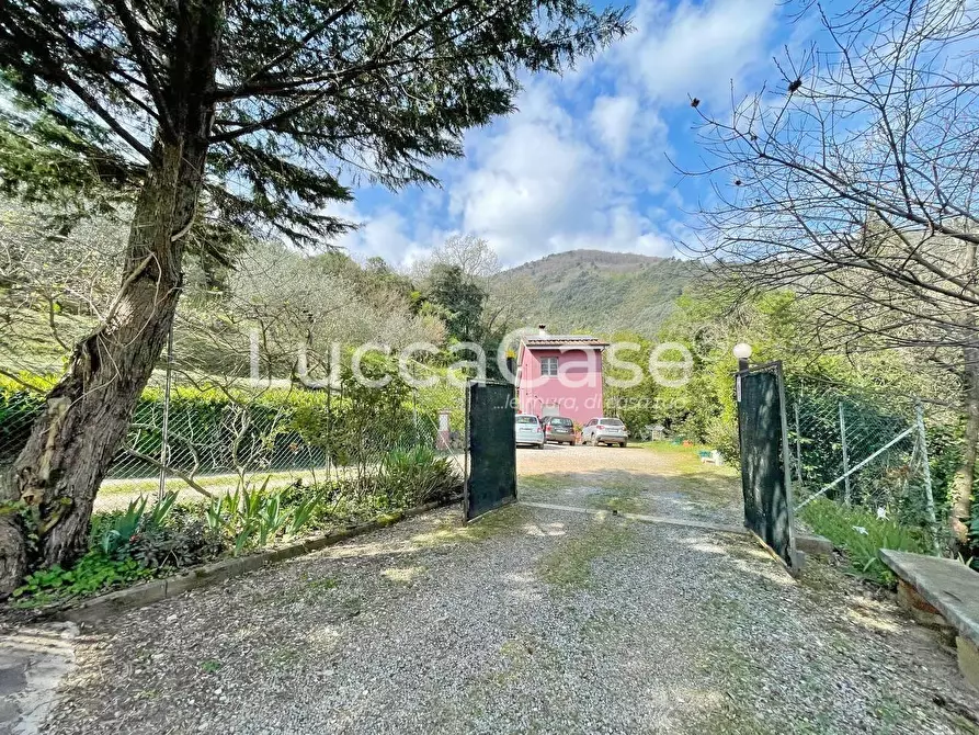 Immagine 61 di Rustico / casale in vendita  a Lucca