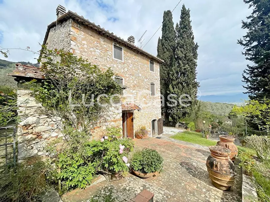 Immagine 18 di Rustico / casale in vendita  a Lucca