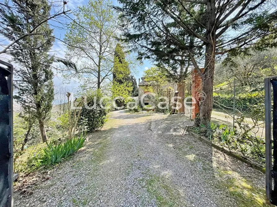 Immagine 60 di Rustico / casale in vendita  a Lucca