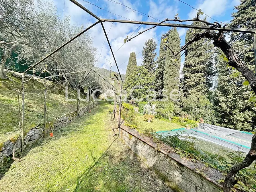 Immagine 46 di Rustico / casale in vendita  a Lucca