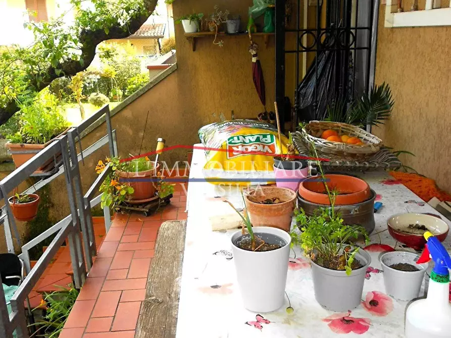 Immagine 6 di Villetta a schiera in vendita  a Massa