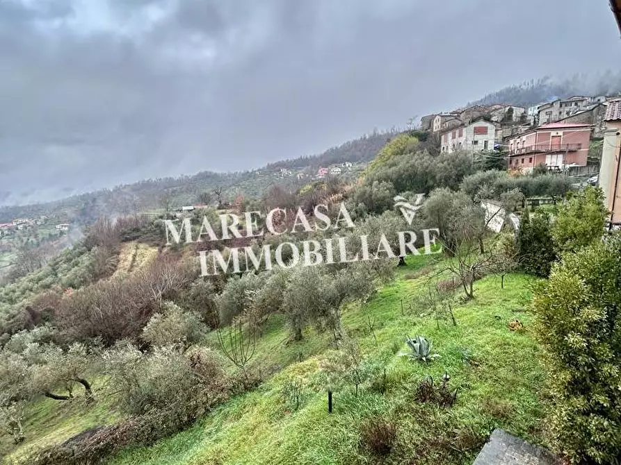 Immagine 38 di Casa indipendente in vendita  a Fivizzano