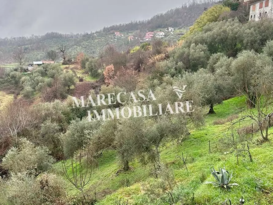 Immagine 39 di Casa indipendente in vendita  a Fivizzano