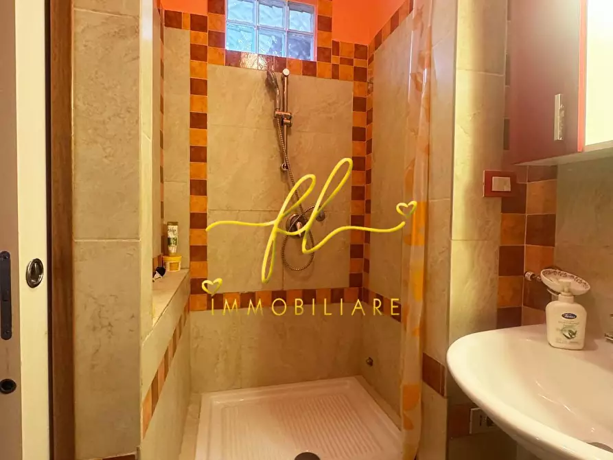 Immagine 17 di Appartamento in vendita  a Collesalvetti