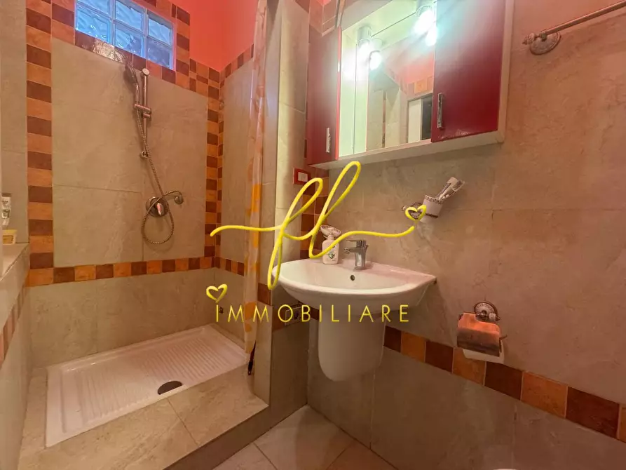 Immagine 16 di Appartamento in vendita  a Collesalvetti