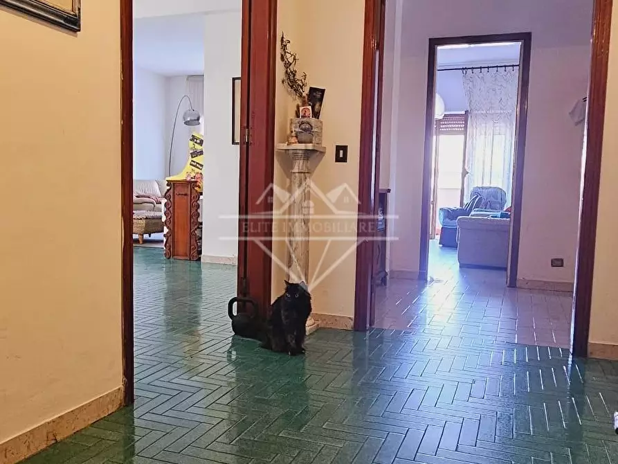 Immagine 9 di Appartamento in vendita  a Carrara