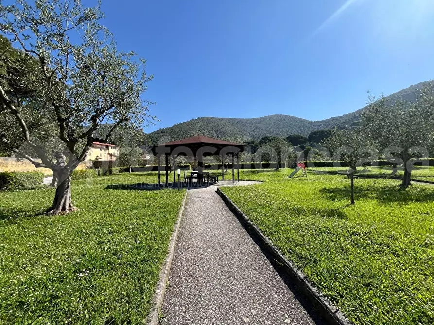 Immagine 28 di Appartamento in vendita  a San Giuliano Terme