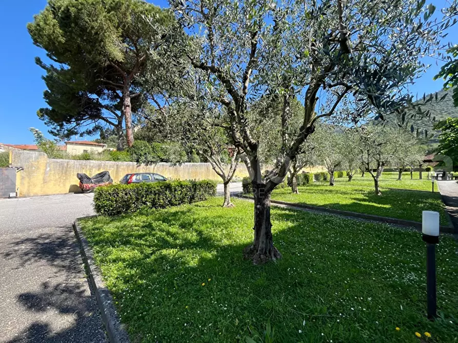 Immagine 26 di Appartamento in vendita  a San Giuliano Terme