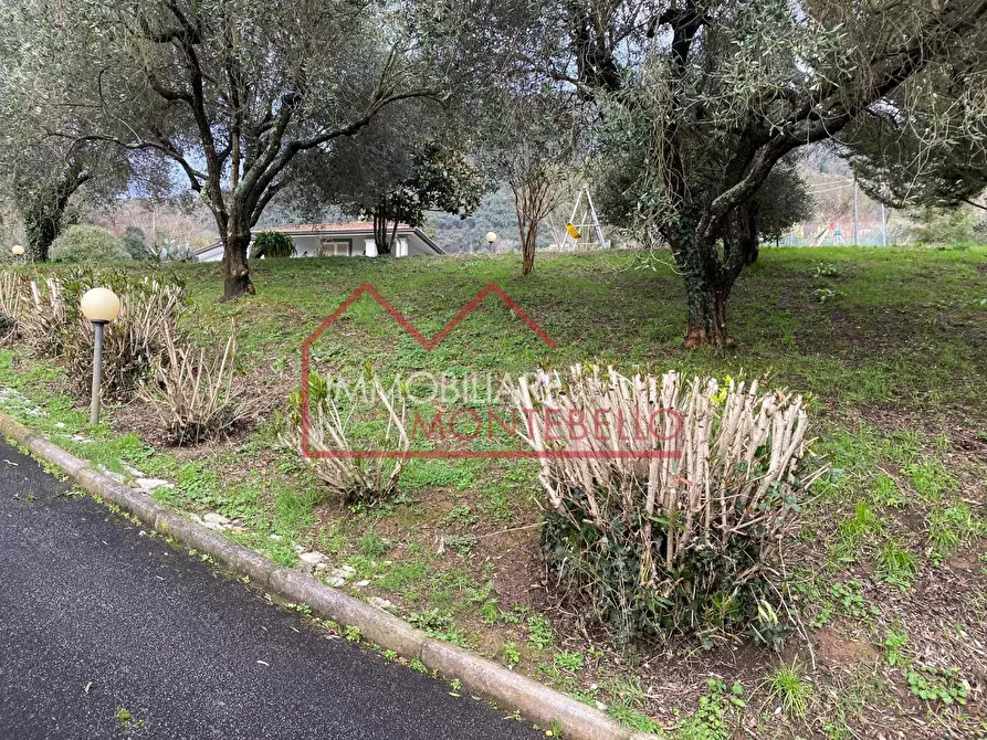 Immagine 3 di Casa indipendente in vendita  a Camaiore