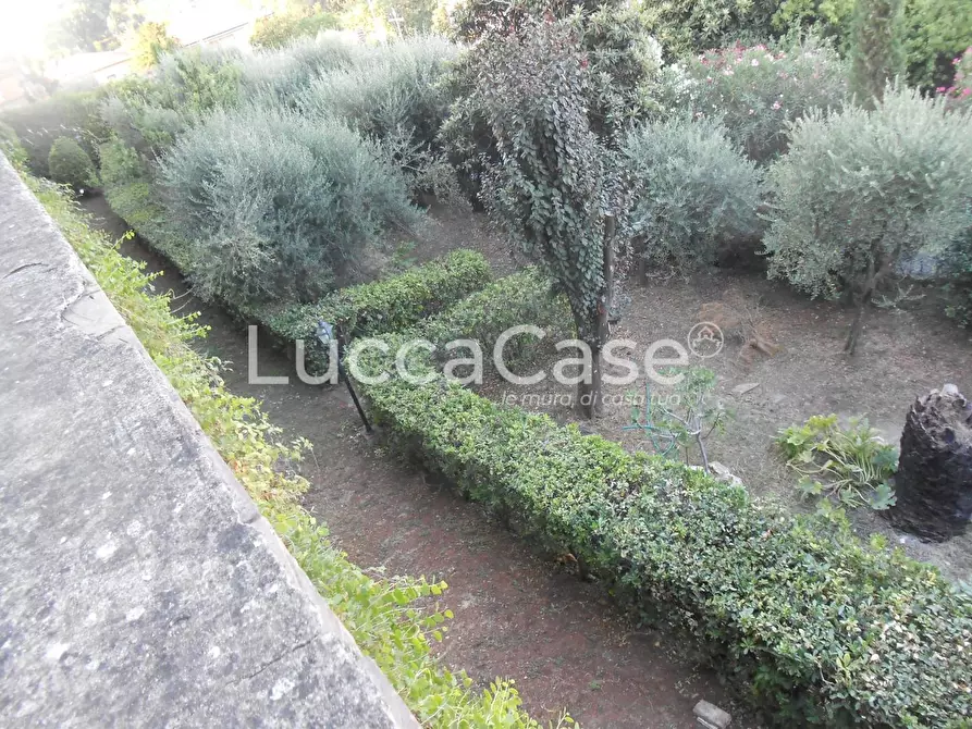 Immagine 55 di Villa in vendita  a Santa Maria A Monte