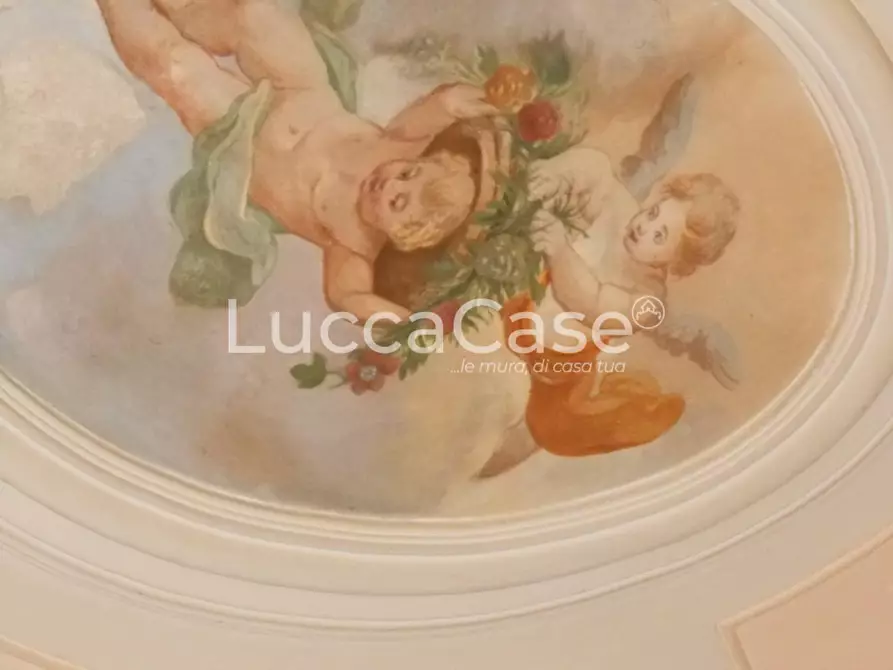 Immagine 50 di Villa in vendita  a Santa Maria A Monte