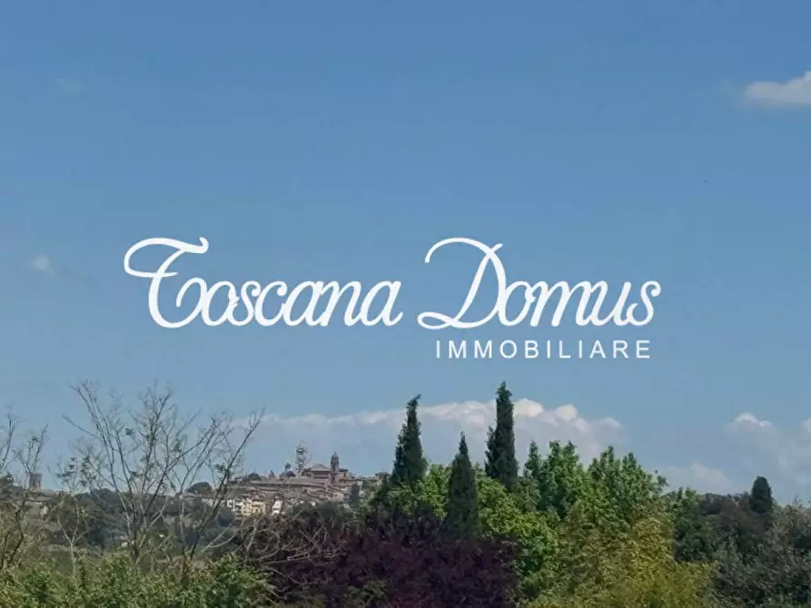 Immagine 4 di Appartamento in vendita  a Sovicille