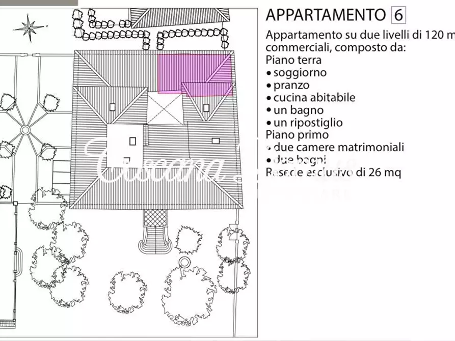 Immagine 8 di Appartamento in vendita  a Sovicille