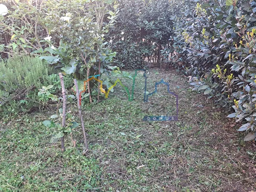 Immagine 5 di Casa bifamiliare in vendita  a Vecchiano